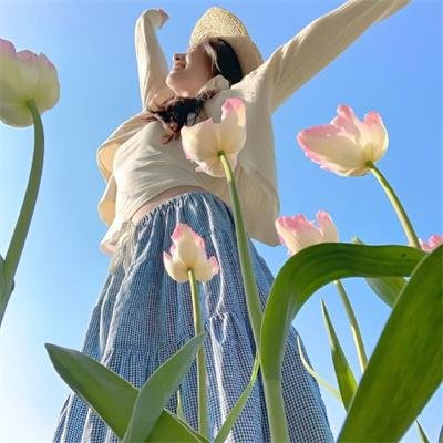 八彩林亚珍粤语
