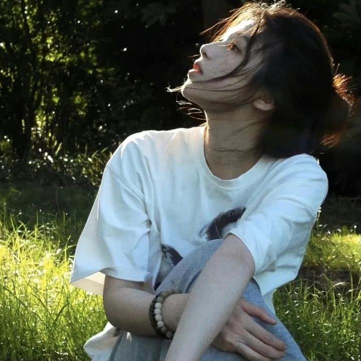 驯龙高手番外篇:龙的礼物